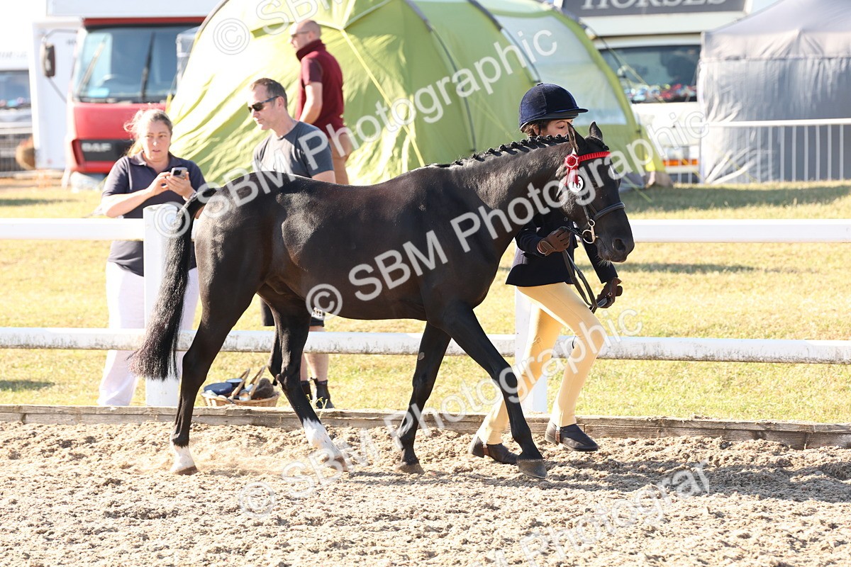 SBM_11661 - Class 203 - Young Handler 11 to 16 years