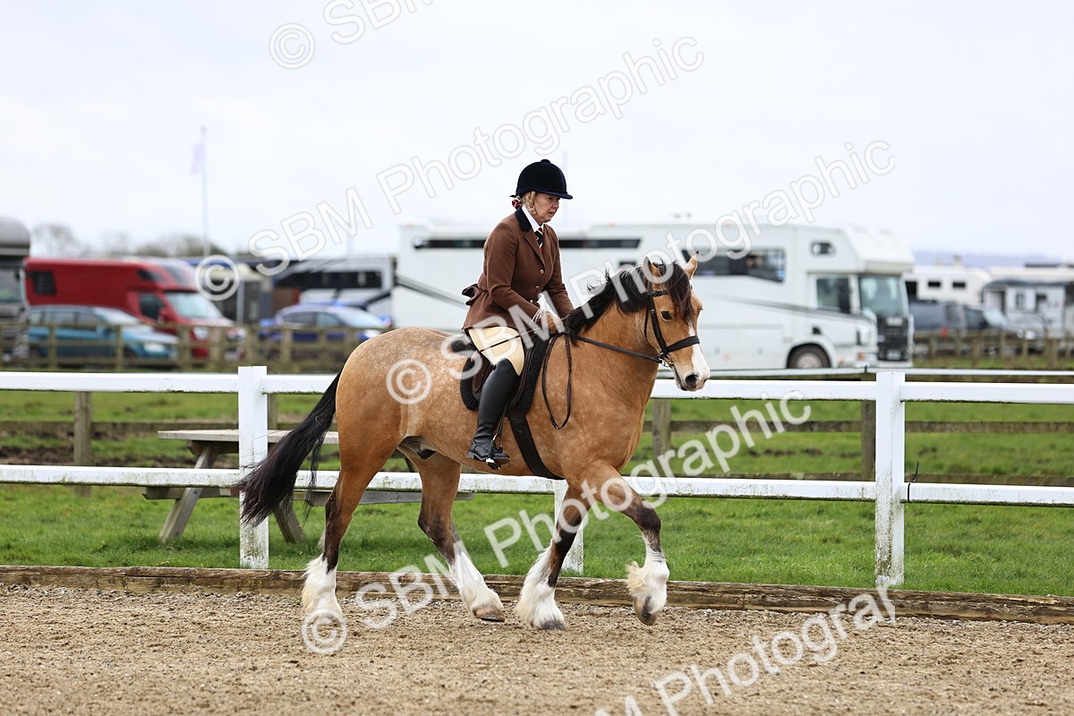 SBM_007014 - Class 29 - 30 - M&M Pure Novice Small-Large Breeds