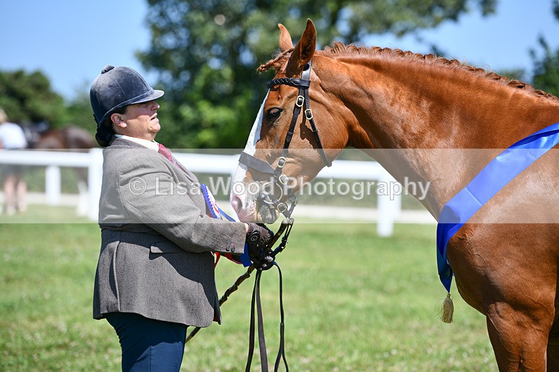 DSC_6990 - Hunter/Riding Horse/Hack In Hand Championship