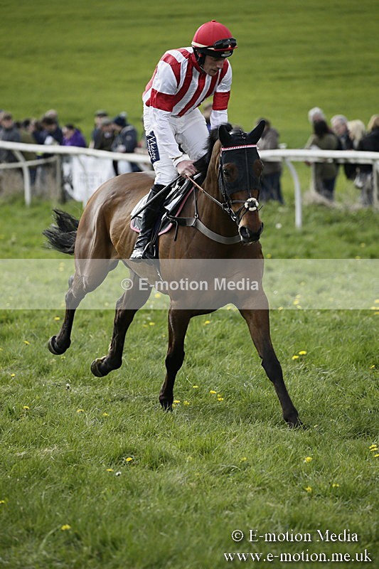 PtP 170417 423 - Old Berks Point-to-Point Lockinge 17/04/17