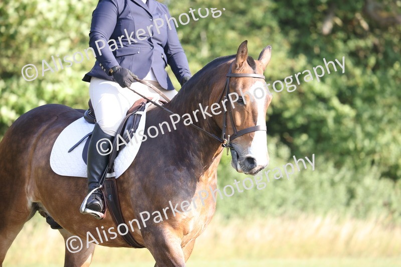 20250731-0100 - Class 2 - Prelim 3