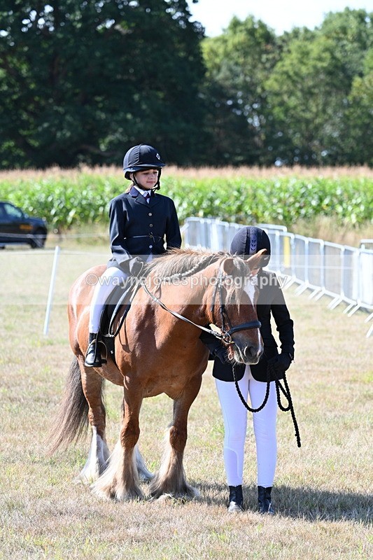 WJ7_3175 - Class 8 Ridden Tack & Turnout