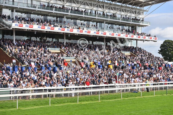 yr18082021r4-68 - Race 4 3.35pm Juddmonte International Stakes (British Champion Series race)