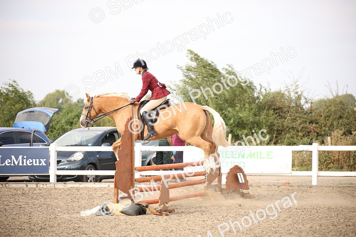 SBM_17249 - Class 410a - Wor5king Veteran 90cm (15-19)