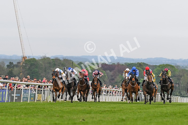 060524-Race 6-Shes Got Bottle-2374 - Race 6