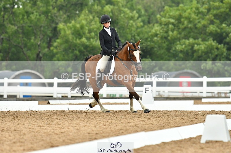 230708A-115338-02653 - Prelim 13