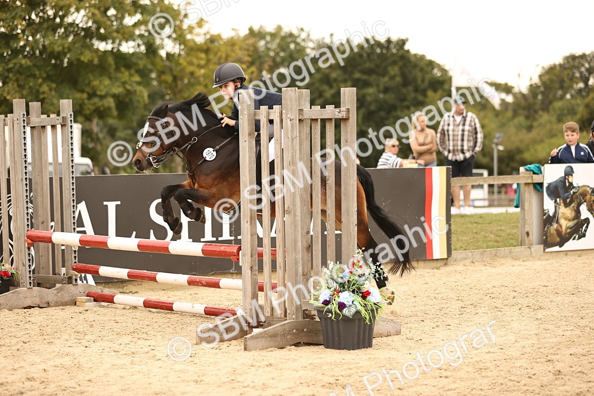 SBM_74223 - J14 - Junior Pony 65cm Championship