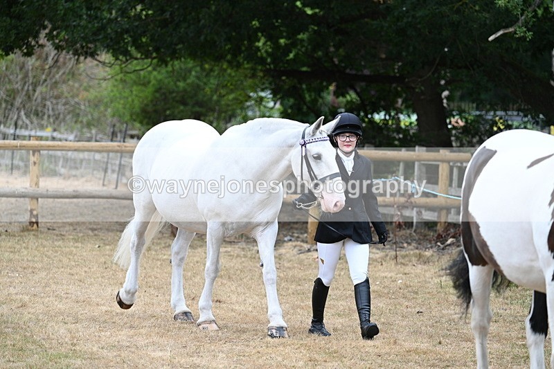 WJ7_8686 - Class 4a Prettiest Mare 14.2hh and over