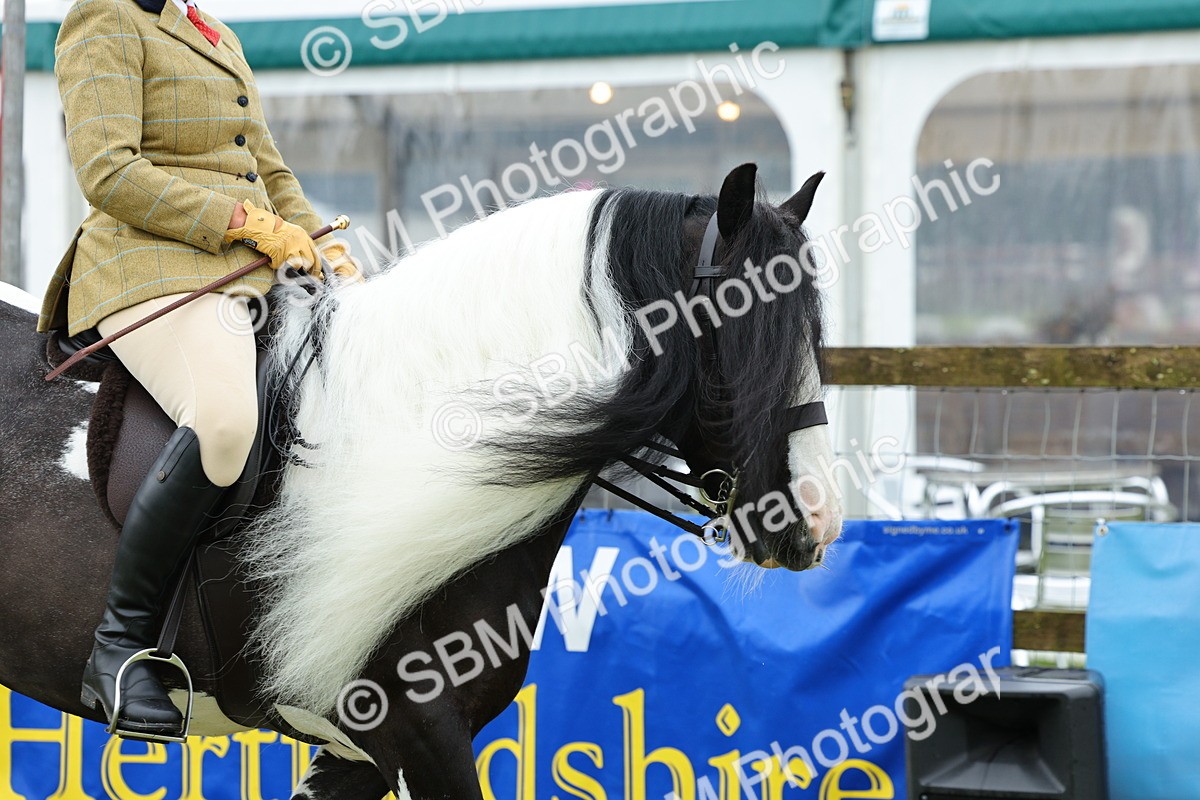 SBM_01087 - Class 1-4 - BSPA Ridden