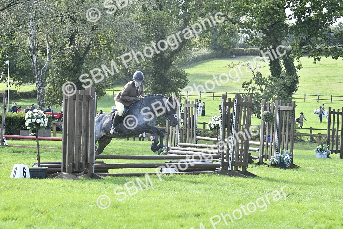 SBM_38153 - S31 - Novice & Newcomer Working Hunter Pony