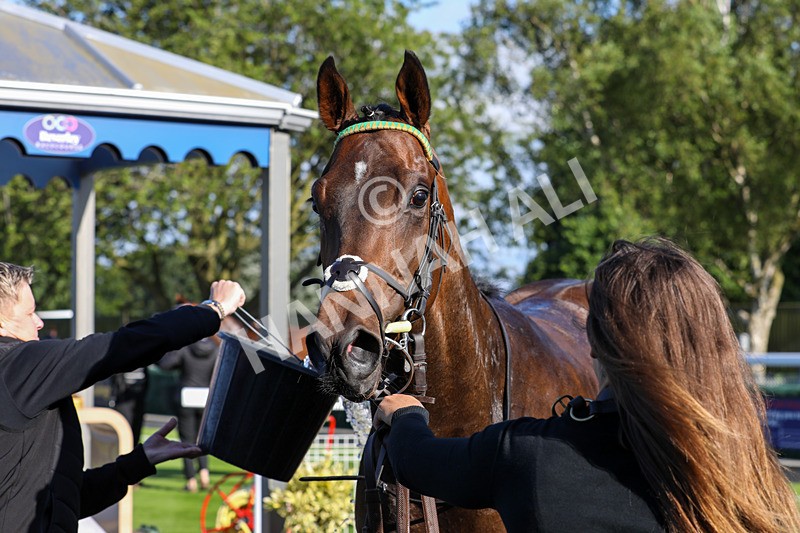 180624-Race 1-Paps Turf-7586 - Race 1