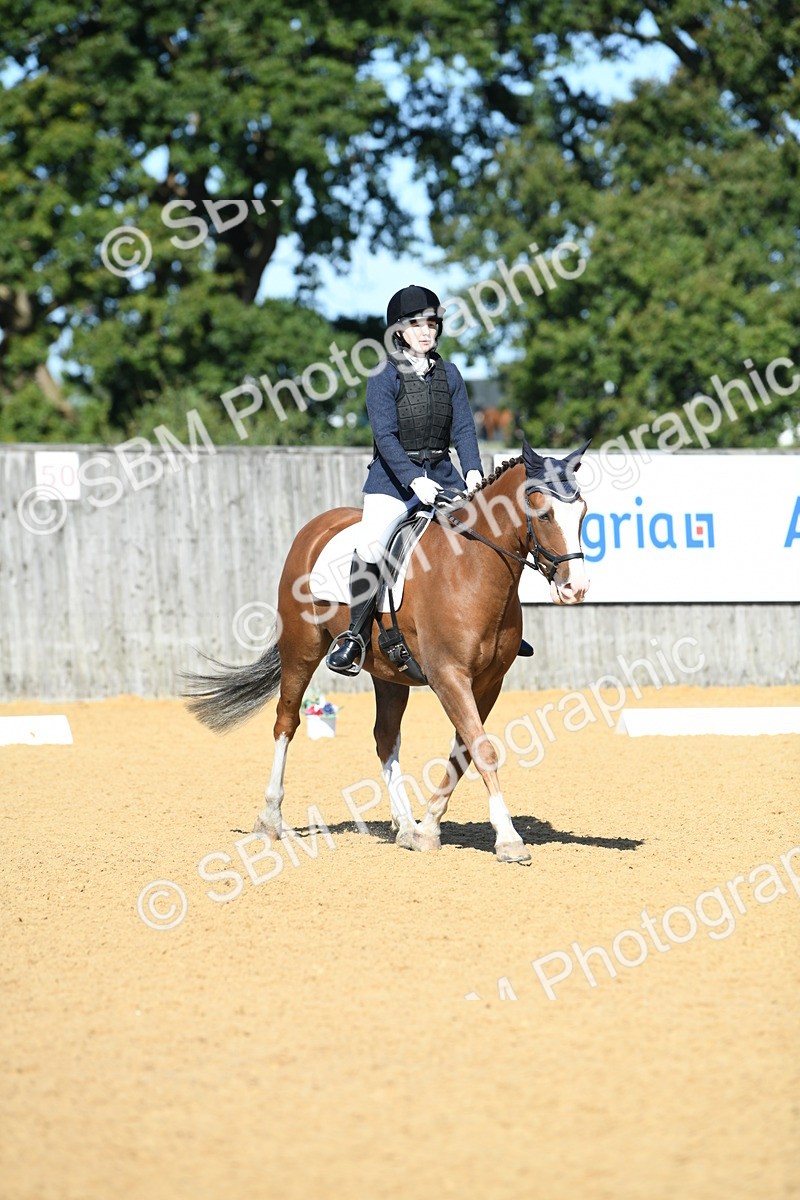 SBM_18122 - D4 - Small Tour Championship - Intro B