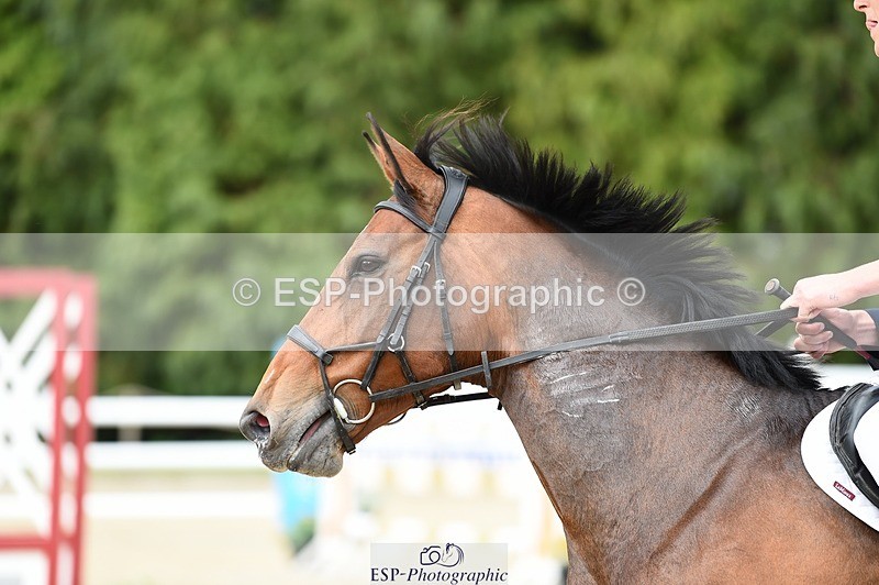 230512-174116-03030 - Cls 04 Snr 1.20m open