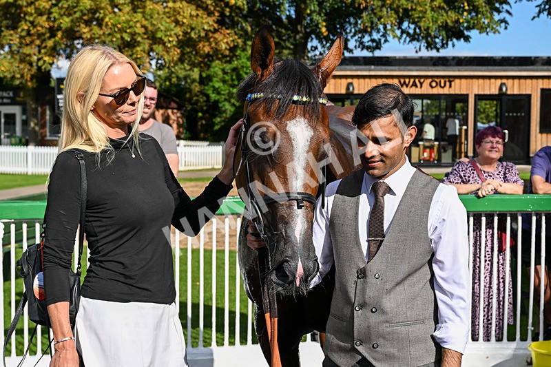 140926-Race 3-Majestic Jude-2964 - Race 3 3.21pm British Stallion Studs EBF Novice Stakes