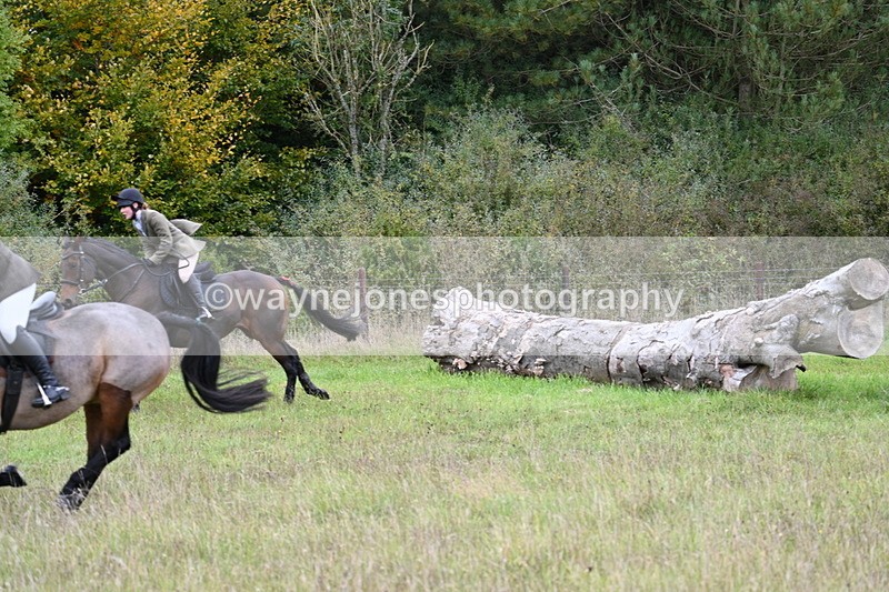 WJ7_3853 - Camera 1 Line 1