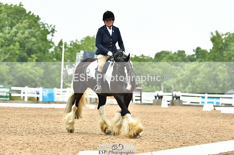 230708A-105334-02445 - Prelim 13