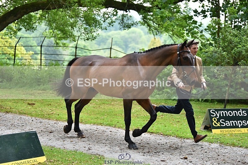 240522-165504-01250 - 228-SAGE_SOLDIER-Tom_Jackson