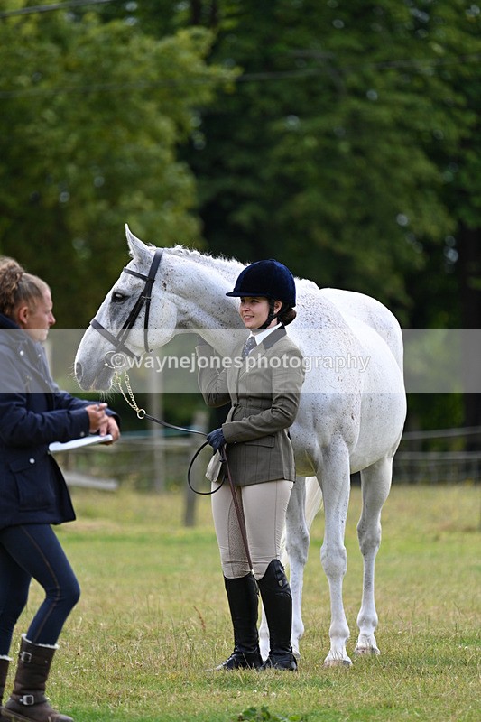 WJ7_7059 - Class 5a Most Handsome Gelding in Hand