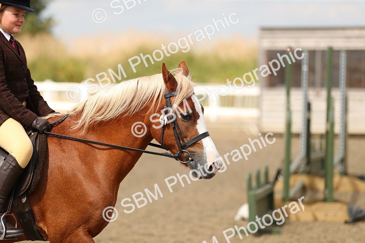 SBM_04733 - Class 46b Style & Performance 50cm (20+)
