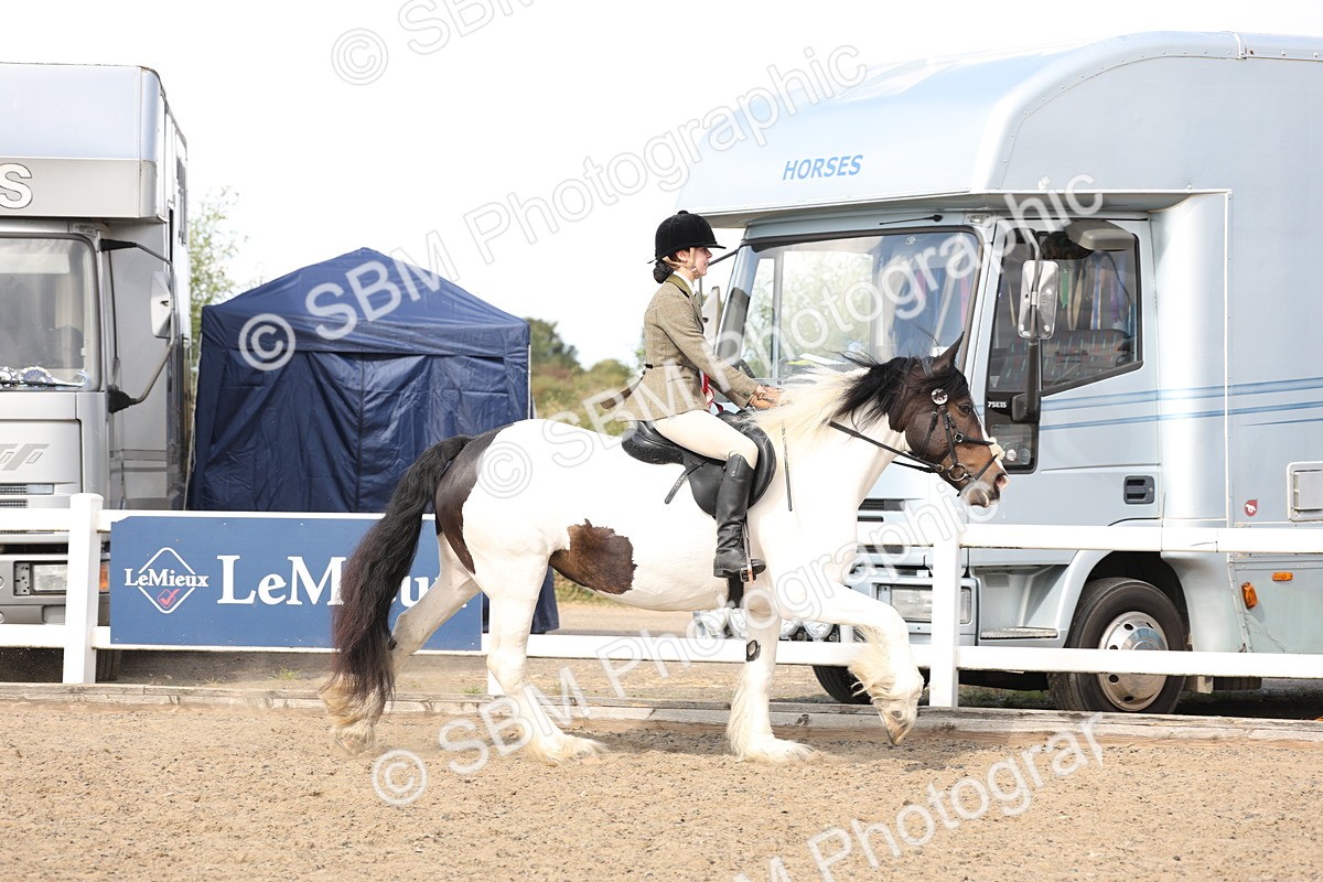 SBM_06821 - Class 58a -  Style & Performance - 70cm (15-19)