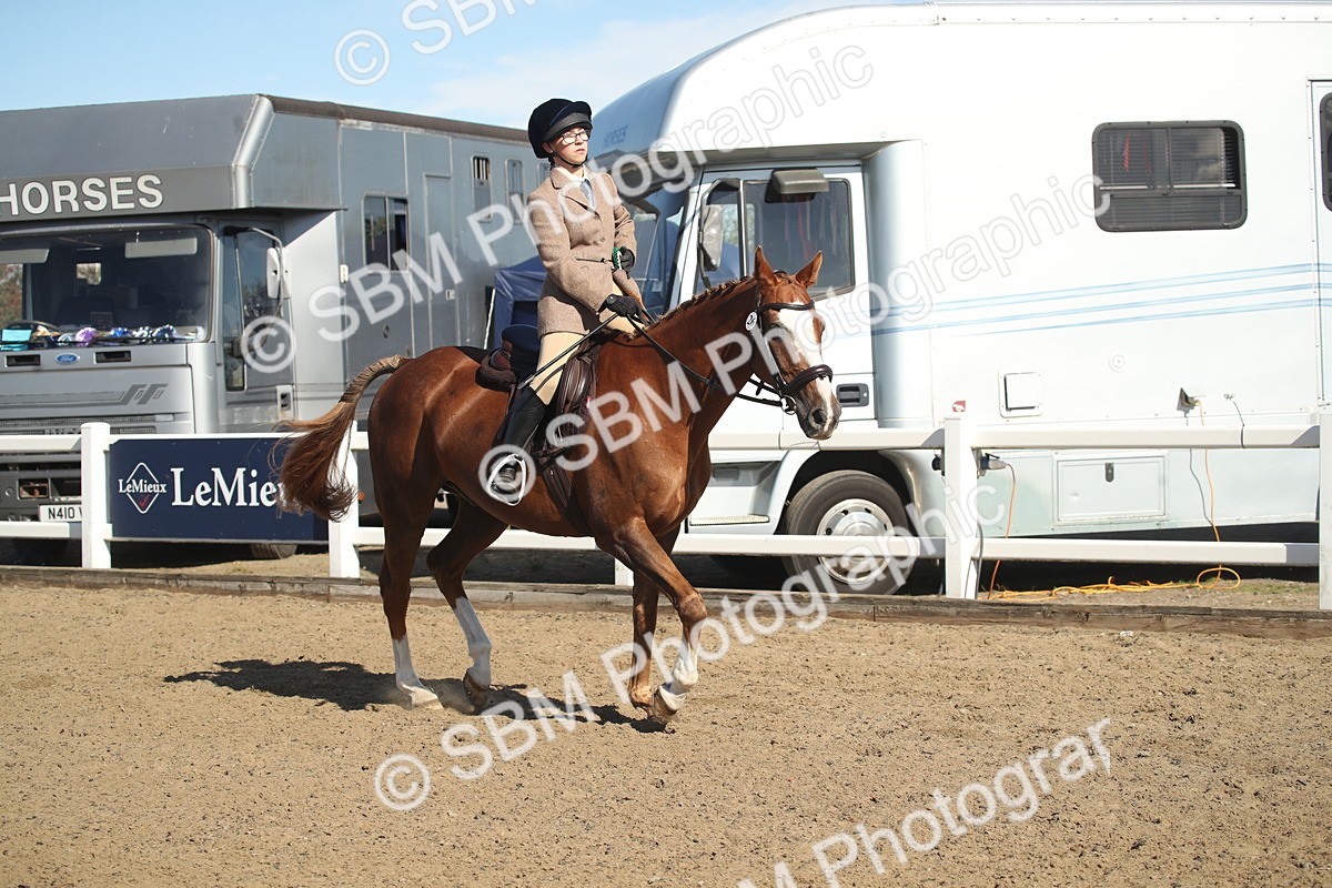 SBM_12804 - Class 504b - Junior Working Veteran - 40cm (20+)