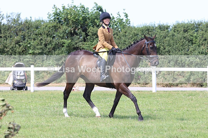 JPP_3225 - Class 22: Working Hunter 70cm