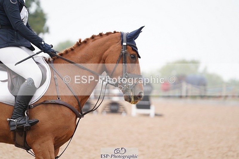 240901A-113226-06610 - 467-Holly.Law-SHIRSHEEN.DONNA