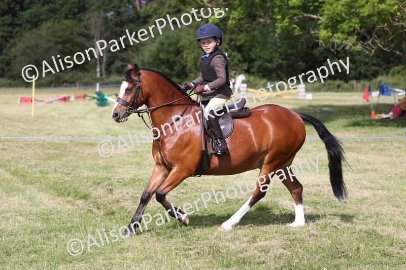 20260614-0487 - Class 20 - Beginners Working Hunter Pony