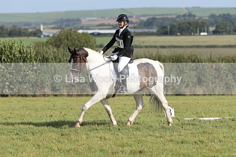 JPP_8115 - Class 2A: Trekenning Open: Dressage
