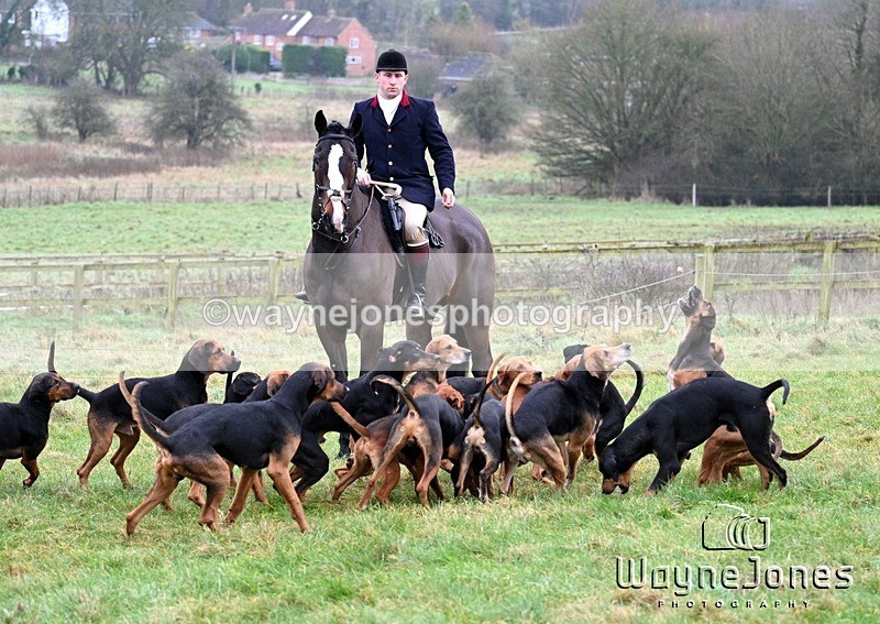 WJ7_9953 - Edited examples