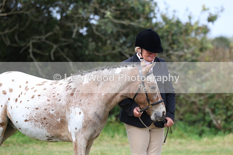 3E7A5401 - Class 19: Best Coloured in Hand