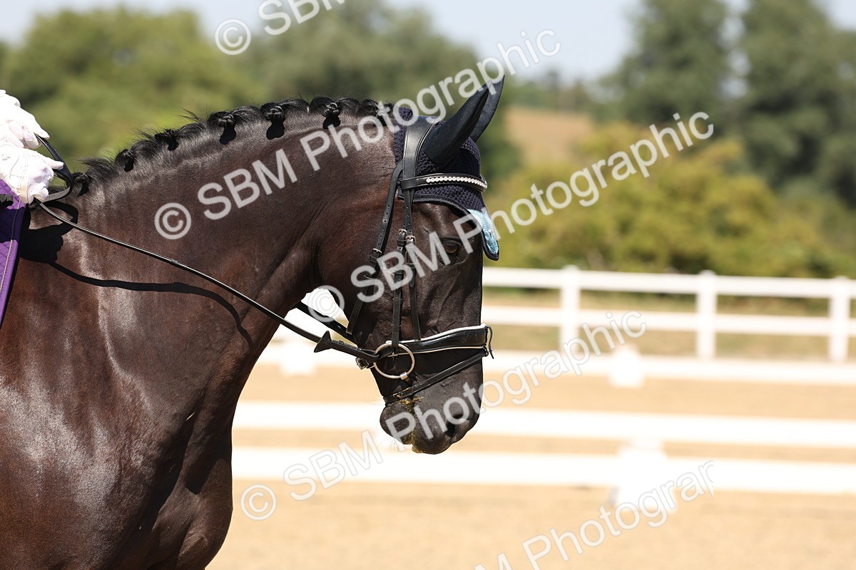 SBM_005672