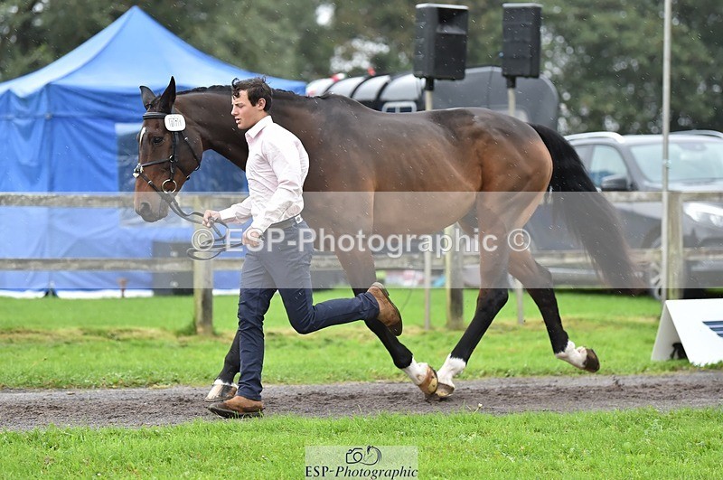 231018-125028-00559 - 071-BALLYVOGUE.OLYMPIC.VIEW-Duncan.Morgan-TrotUp