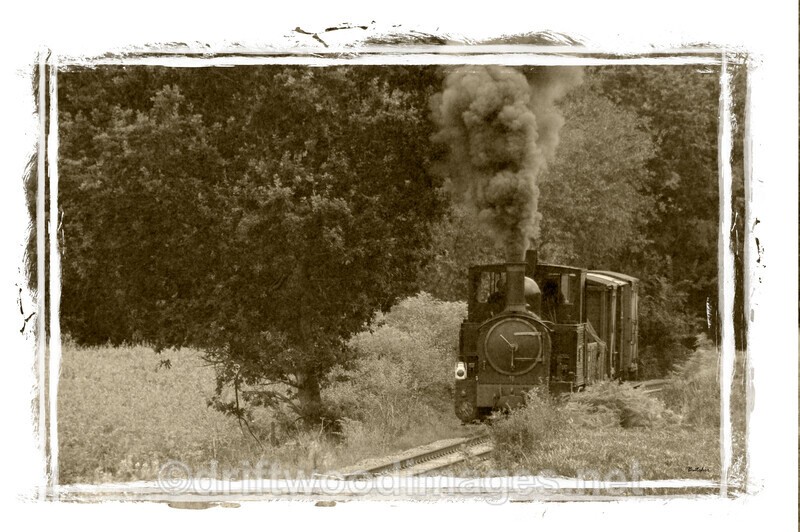 WLLR The Earl with goods wagons approaches Cyfronydd Station - The Welshpool & Llanfair Light Railway