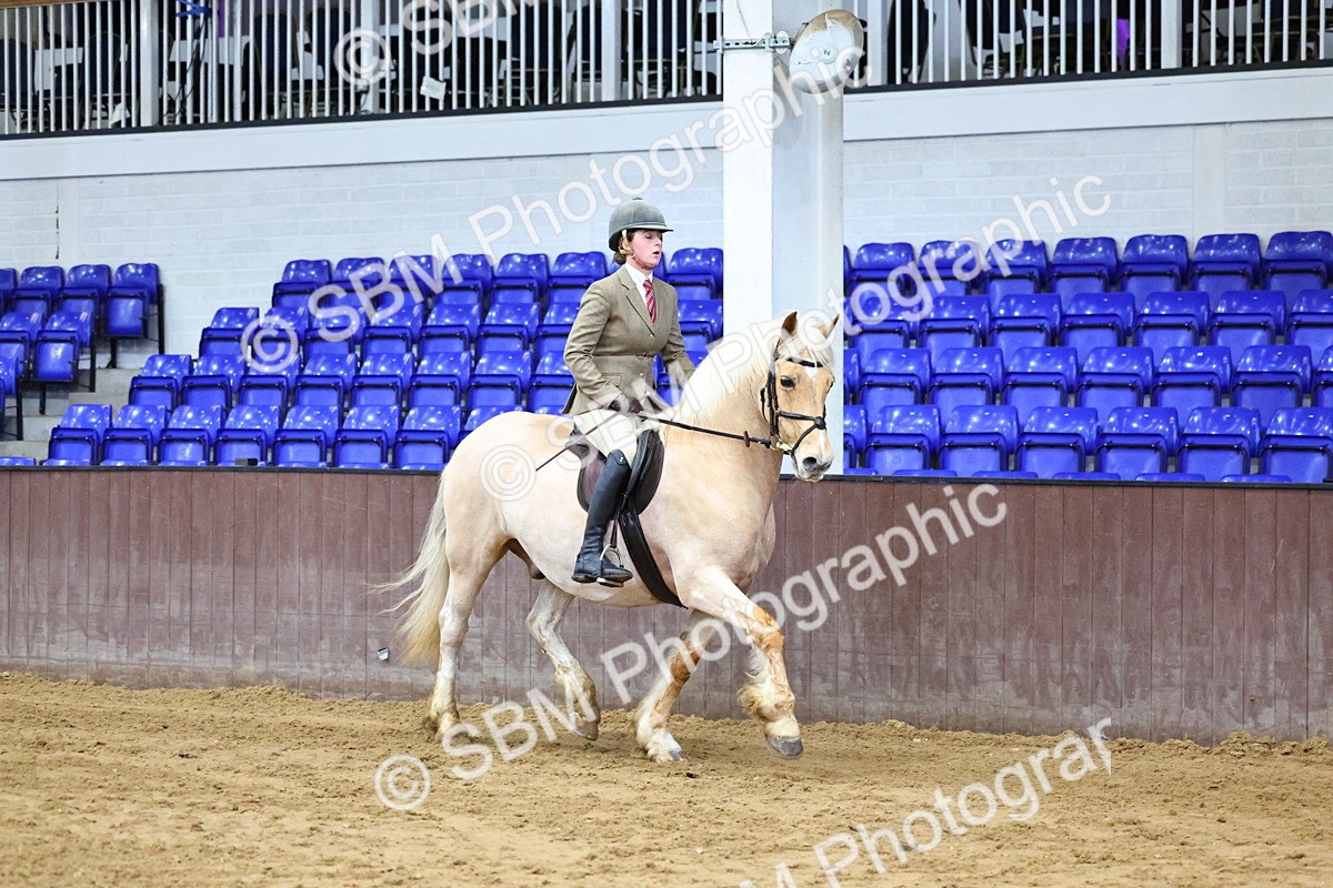 SBM_003675 - Class 37 - 80cm Training Stakes