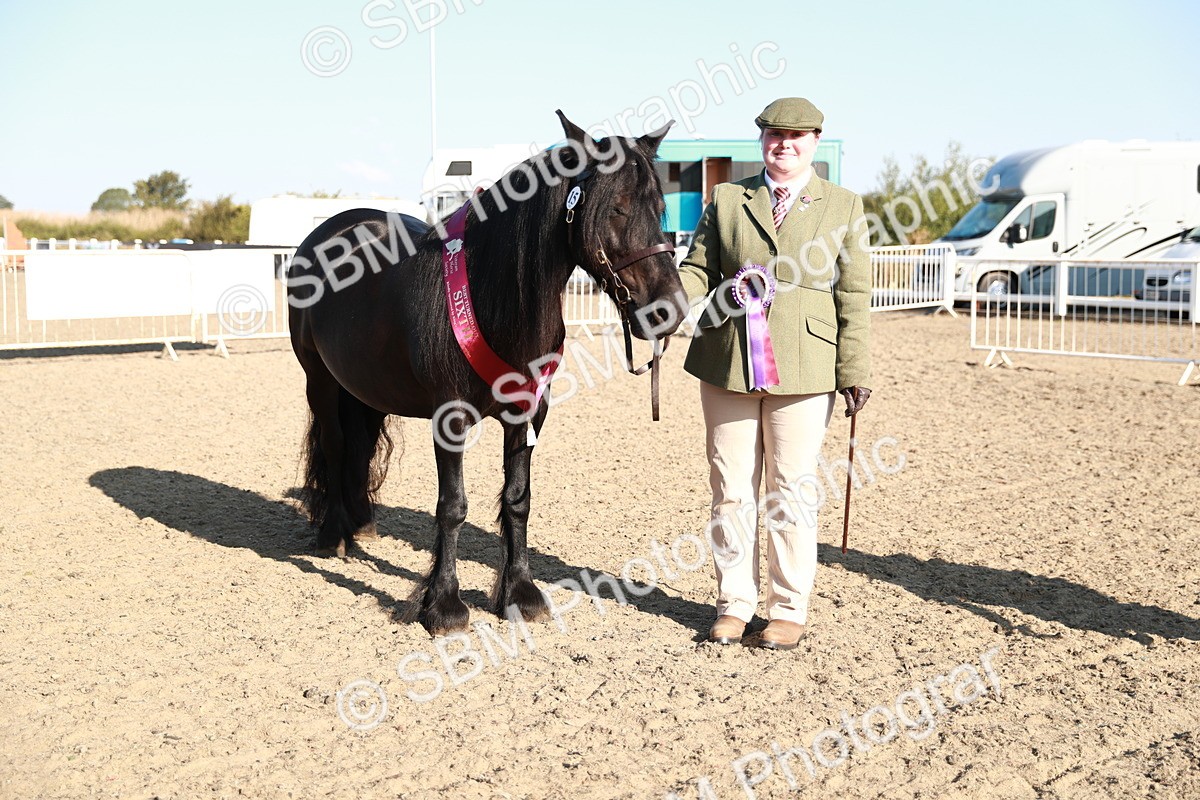 SBM_00150 - Class 40 Best Turned Out IH