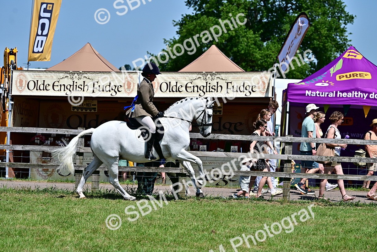 SBM_17545 - Class 95-97 - BSPS LHS Performance Ponies
