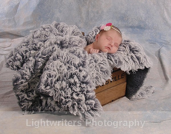 Willow 14 - Willow