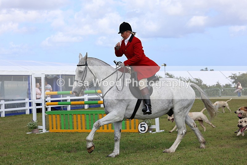 3E7A3395 - Parade of Hounds