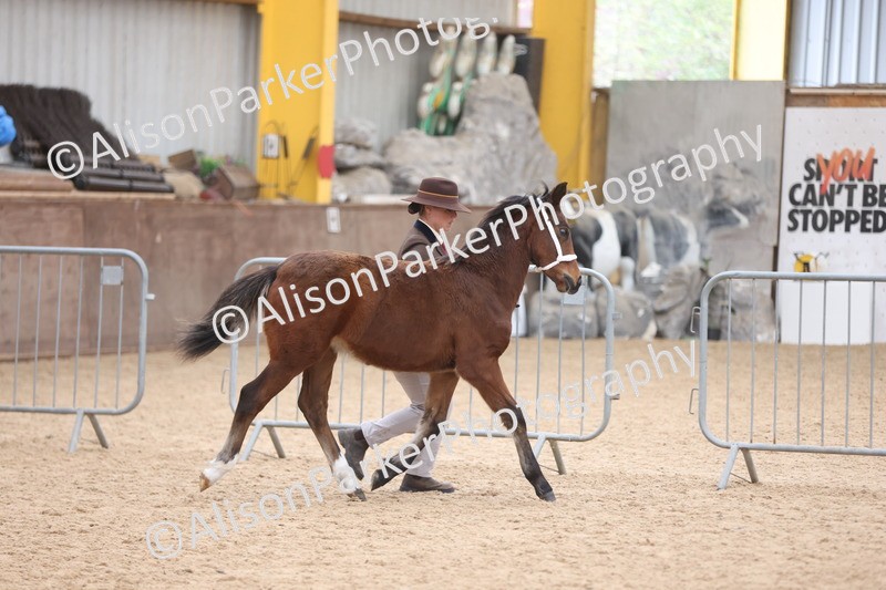 20251109-1130 - Championship