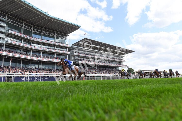 yr19082022r3-31 - Race 3 3.00pm Al Basti Equiworld Dubai Gimcrack Stakes