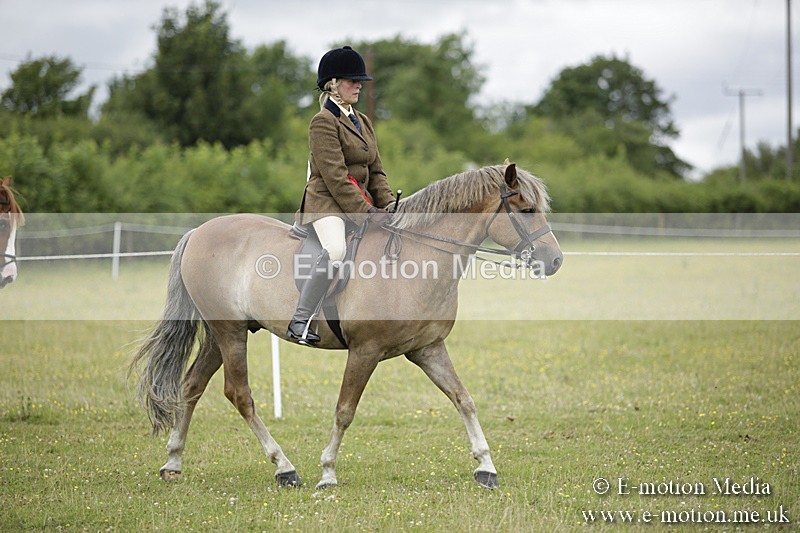 BVR160717-2102 - Ridden Championship 16/07/17