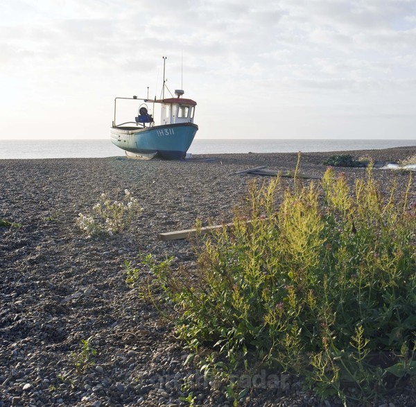 Aldeburgh Boat 1 - Beachscapes