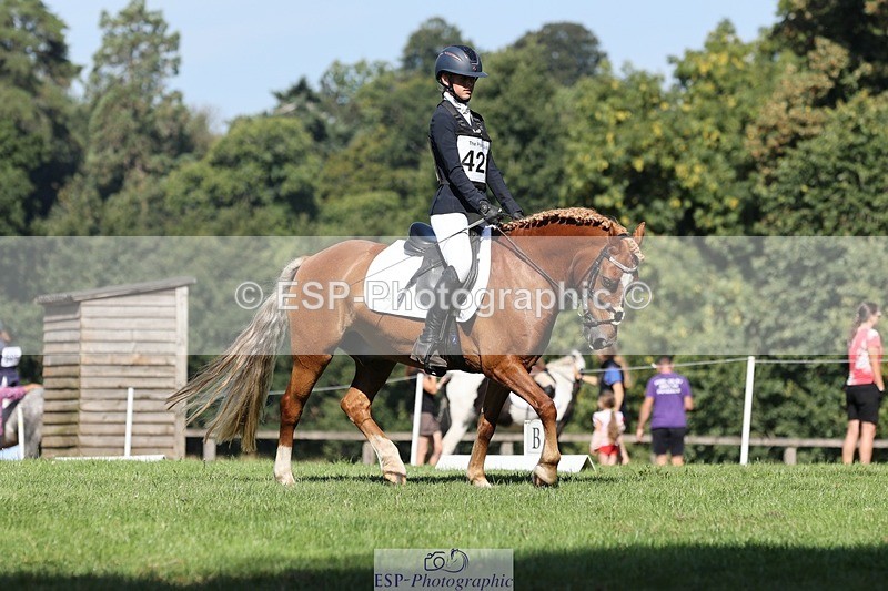 250823A-103625-27747 - Arena D