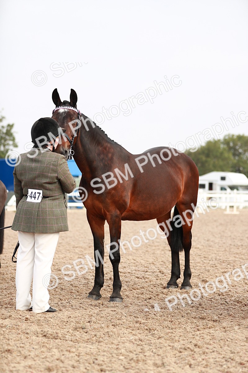 SBM_09545 - Class 201 Best Turned Out IH