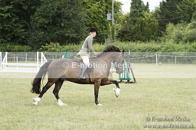 BVR160717-98 - Ring 3 BVRC Show 16/07/17