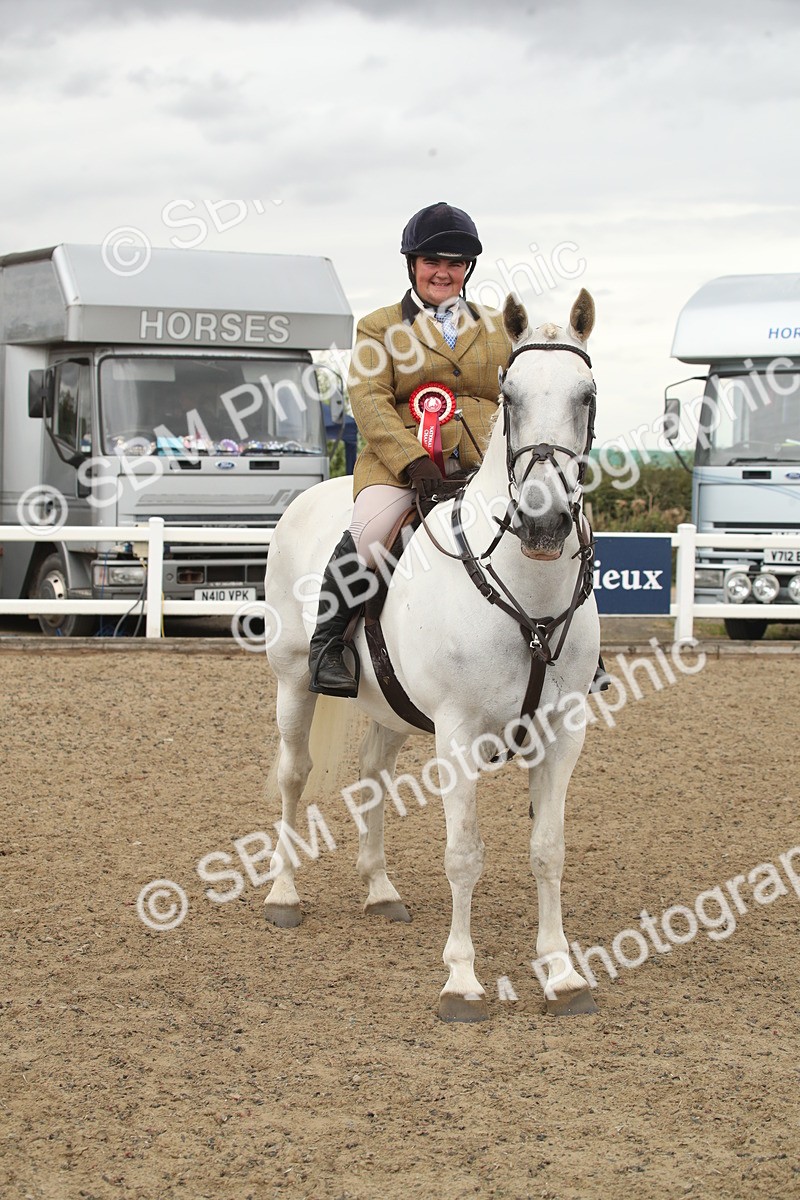 SBM_18470 - Class 510a - Working Veteran 90cm (15-19)