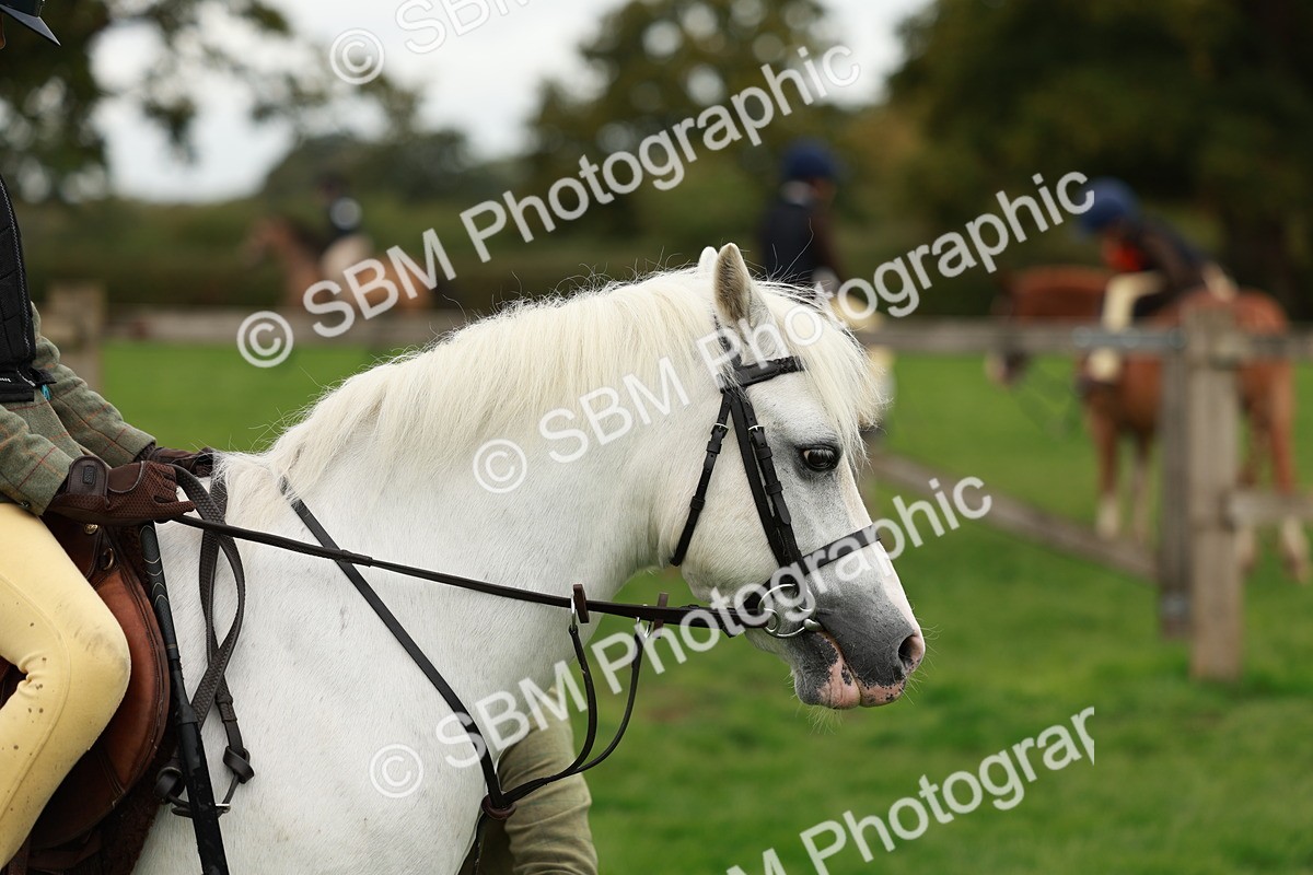 SBM_41794 - S32 - Mountain & Moorland Working Hunter Pony