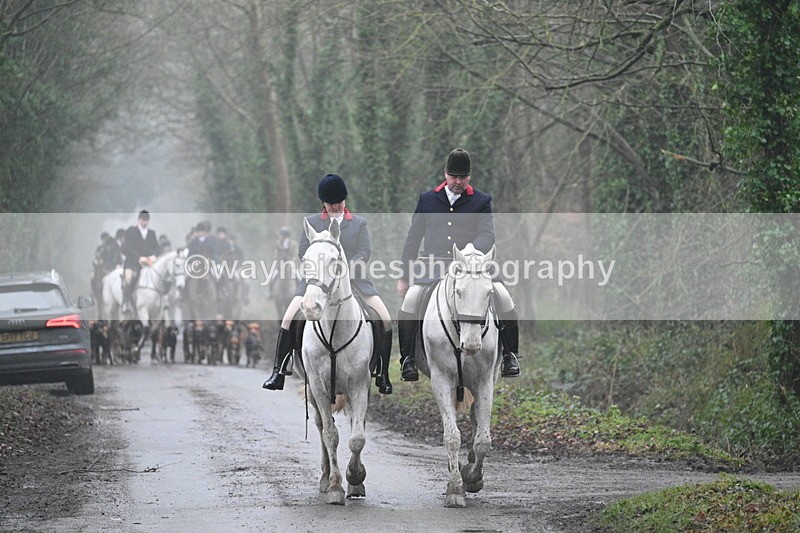 WJ7_3611 - In-between lines