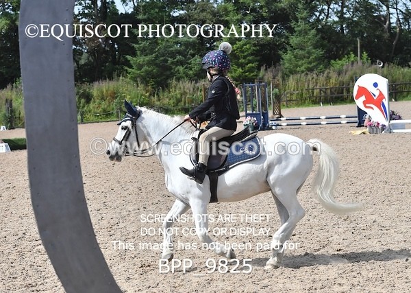 BPP_9825 - CLASS 3 Derby Show Jumping 40CM